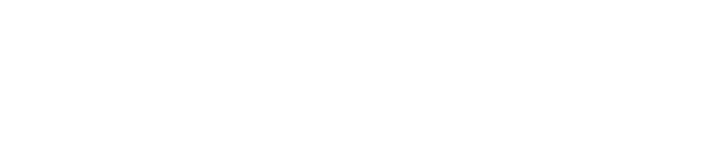 Anecoica